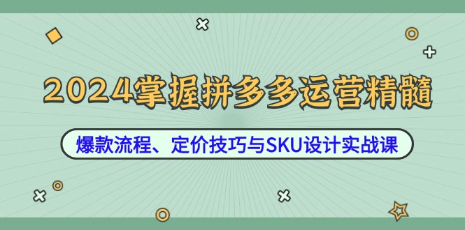 2024掌握拼多多运营精髓：爆款流程、定价技巧与SKU设计实战课-创浪聊项目