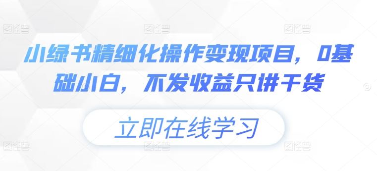 小绿书精细化操作变现项目，0基础小白，不发收益只讲干货-铁峰聊项目