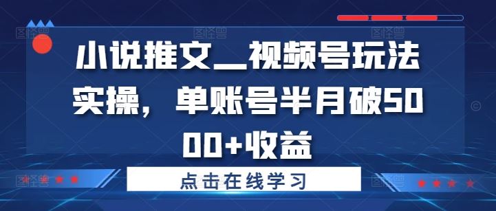 小说推文—视频号玩法实操，单账号半月破5000+收益-铁峰聊项目
