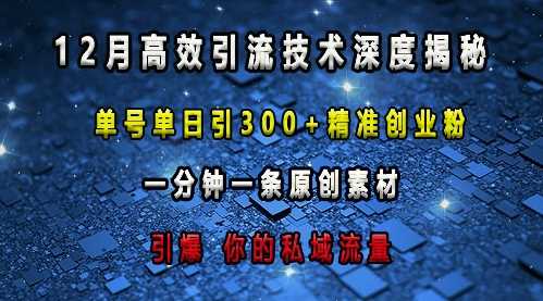 最新高效引流技术深度揭秘 ，单号单日引300+精准创业粉，一分钟一条原创素材，引爆你的私域流量-创浪聊项目