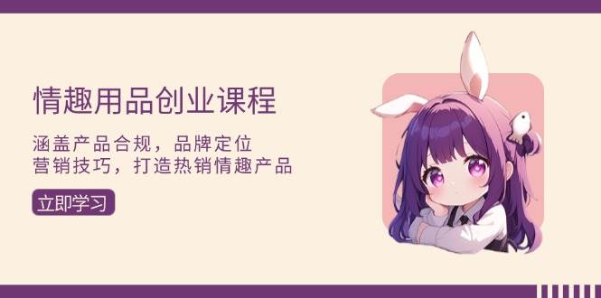 （13682期）情趣用品创业课程：涵盖产品合规，品牌定位，营销技巧，打造热销情趣产品-创浪聊项目