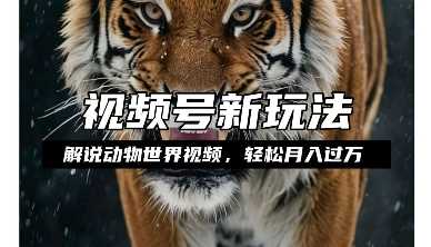 利用动物世界解说视频，赚分成计划收益，轻松月入过W，操作简单【揭秘】-创浪聊项目