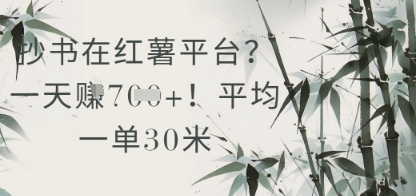 抄书在小红薯平台？平均一单30米，一天收益几张！-创浪聊项目