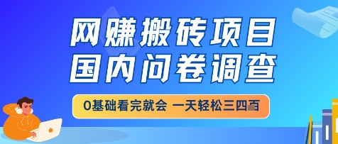 网创搬砖项目，国内问卷调查，小白轻松上手，一天三四张的也不难，干就完了【揭秘】-创浪聊项目
