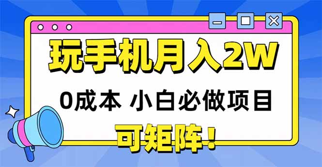玩玩手机月入20000+，0成本小白必做项目，可矩阵-铁峰聊项目
