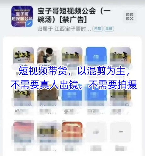 宝子哥头部团队短视频带货，以混剪为主，不需要真人出镜，不需要拍摄【更新】-铁峰聊项目