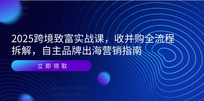 2025跨境致富实战课，收并购全流程拆解，自主品牌出海营销指南-铁峰聊项目