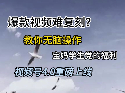 视频号4.0重磅上线，爆款视频难复刻？教你无脑操作宝妈学生党的福利【揭秘】-创浪聊项目