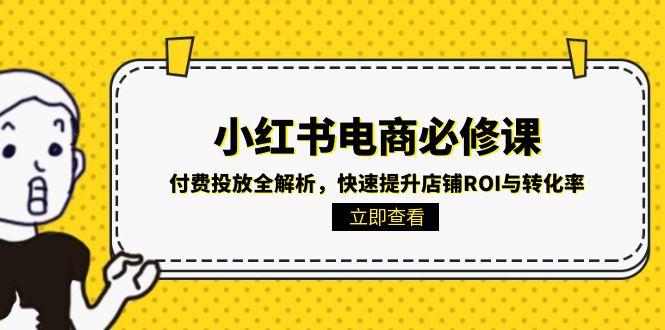 小红书电商必修课：付费投放全解析，快速提升店铺ROI与转化率-创浪聊项目