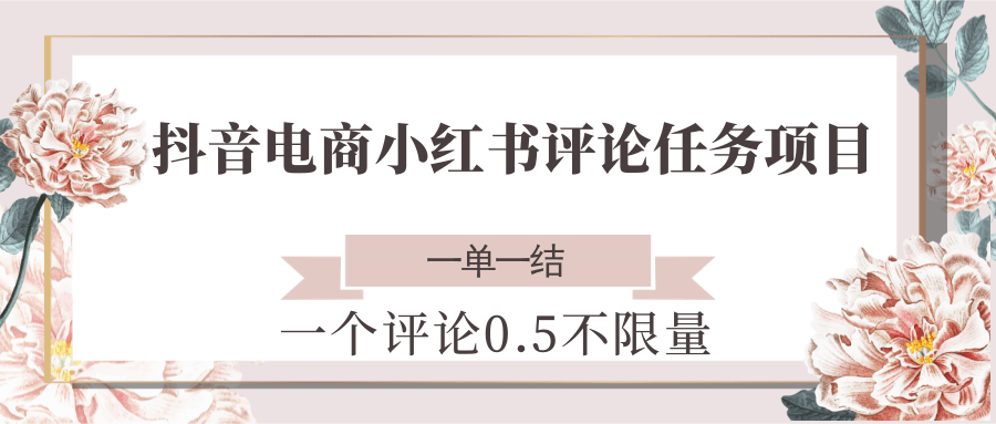 抖音电商小红书评论任务项目，一个评论0.5，一单一结 不限量-创浪聊项目