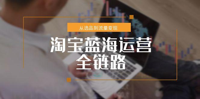 淘宝蓝海运营全链路，从选品到流量变现，小类目突围完整方案-创浪聊项目