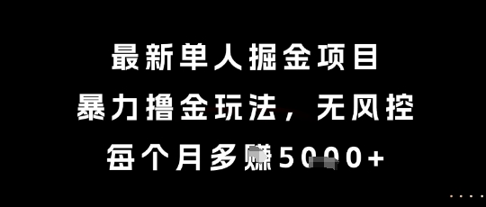 最新单人掘金项目，暴力撸金玩法，无风控，每个月多挣5k+【揭秘】-创浪聊项目