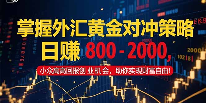 掌握外汇黄金对冲策略，日赚 800 – 2000，小众高回报创业机会，助你实…-创浪聊项目