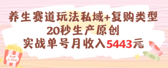 养生赛道玩法私域+复购类型，20秒生产原创实战单号月收入5k+-创浪聊项目
