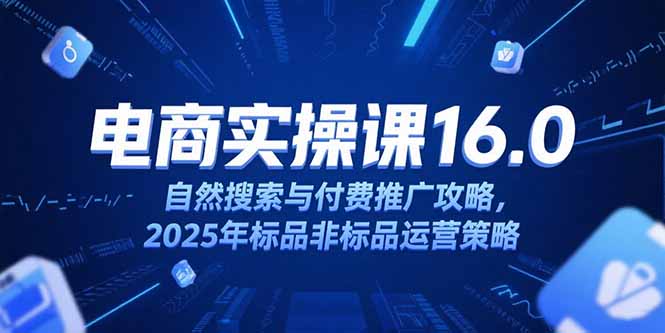淘宝电商运营课16.0，自然搜索与付费推广攻略，2025年标品非标品运营策略-创浪聊项目