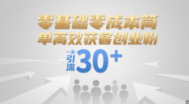 零基础零成本简单高效获客创业粉，一天引流30+-创浪聊项目