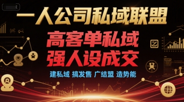 一人公司私域联盟，高客单私域，强人设成交，建私域 搞发售 广结盟 造势能-创浪聊项目