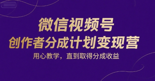 微信视频号创作者分成计划变现营，用心教学，直到取得分成收益-创浪聊项目