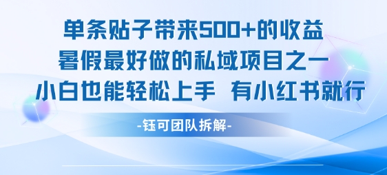 单条贴子带来5张的收益，暑假最好做的私域项目之一，小白也能轻松上手，有小红书就行-创浪聊项目