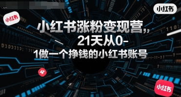 小红书涨粉变现营，21天从0-1做一个挣钱的小红书账号-创浪聊项目
