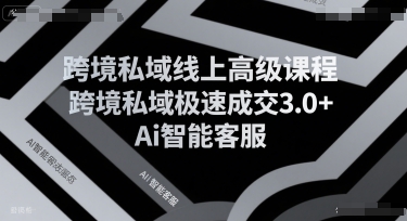 跨境私域线上高级课程，跨境私域极速成交3.0+Ai智能客服-创浪聊项目