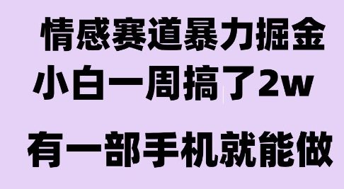 情感暴力掘金项目，新人操作一周挣了2W，长期稳定小白可做【揭秘】-创浪聊项目