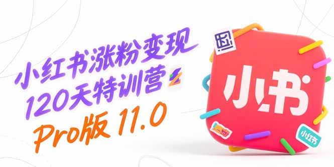 小红书涨粉变现120天特训营Pro版11.0：从0到1掌握平台运营,内容制作和变现-创浪聊项目