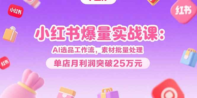 小红书爆量实战课：AI选品工作流，素材批量处理，单店月利润突破25万元-创浪聊项目