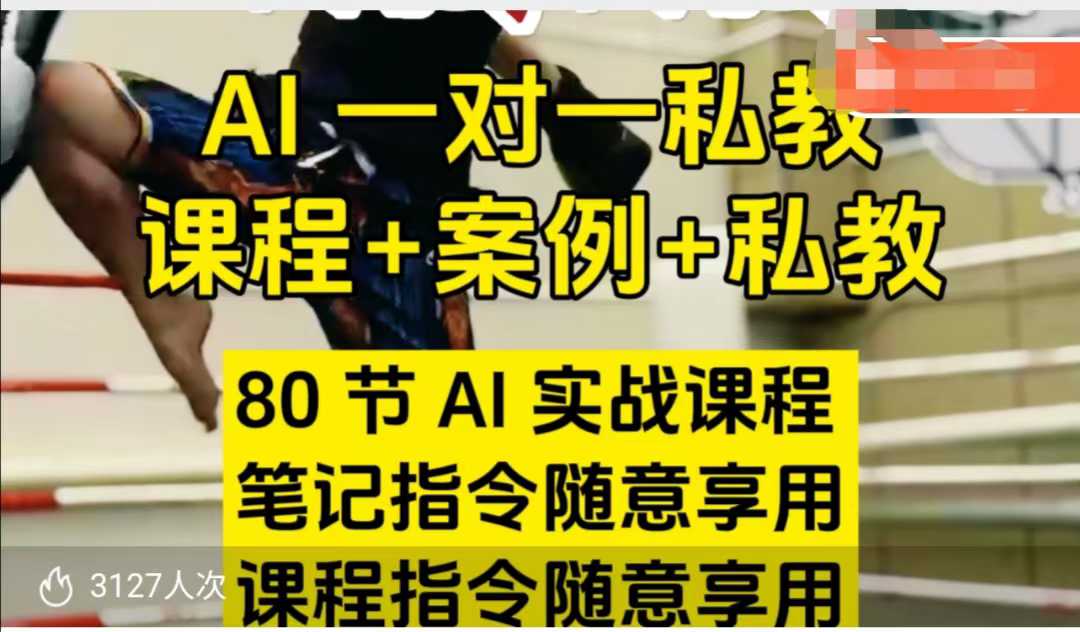 AI指令实战课，课程+案例，80节AI实战课程，笔记指令随意享用，课程指令随意享用(更新7月)-创浪聊项目