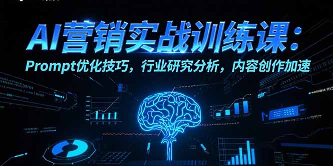 AI营销实战训练课：Prompt优化技巧，行业研究分析，内容创作加速-创浪聊项目