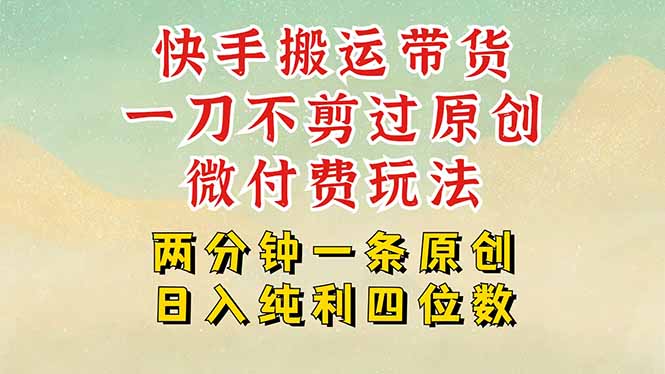快手黑科技搬运带货，一刀不剪过原创，微付费投流玩法，轻松日入四位数…-创浪聊项目